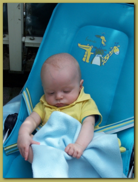 449x598 pixels (179K)